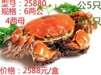 蘇州食品飲料產(chǎn)業(yè)全解析 價格、圖片、批發(fā)、廠家與餐飲管理